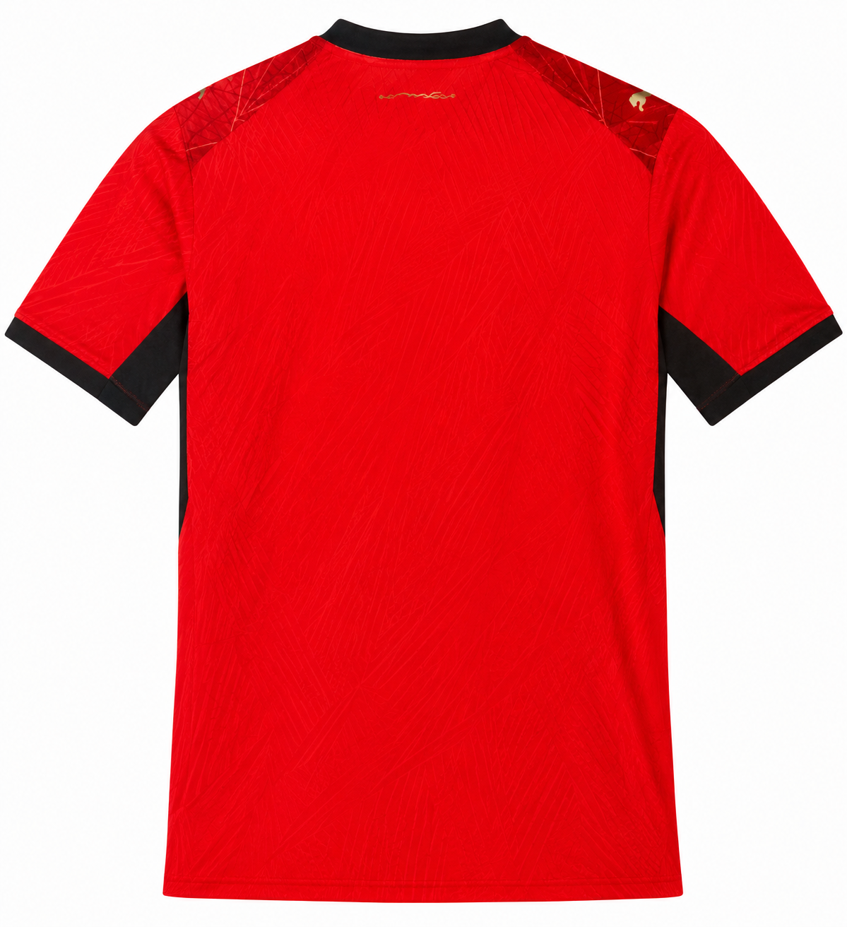 Egypt's new 2026 World Cup